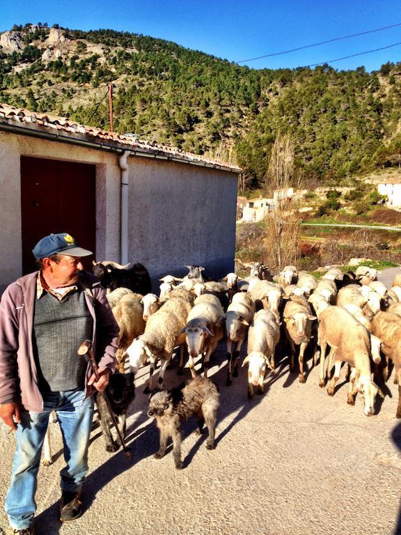 Casas Rurales Vegasierra Bogarra Dış mekan fotoğraf
