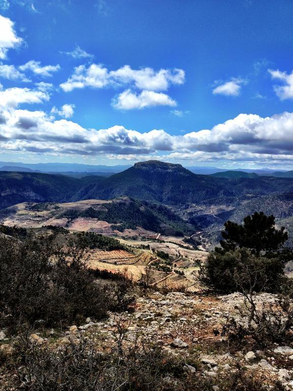 Casas Rurales Vegasierra Bogarra Dış mekan fotoğraf
