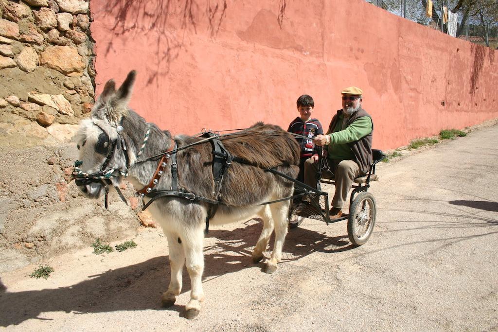 Casas Rurales Vegasierra Bogarra Dış mekan fotoğraf